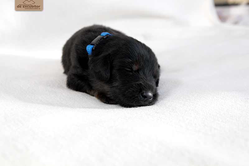 F-Wurf_Fotogalerie_3Woche_800x533_0013