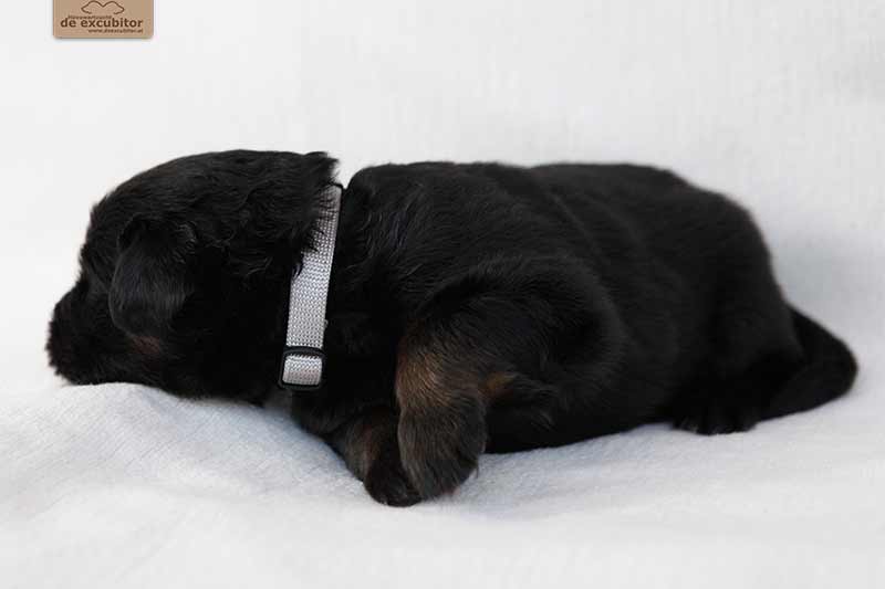 F-Wurf_Fotogalerie_3Woche_800x533_0015