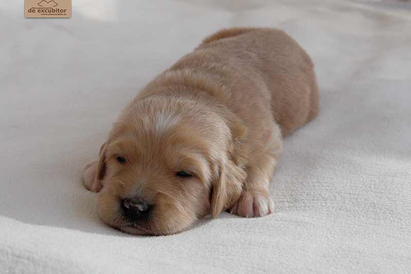 F-Wurf_Fotogalerie_3Woche_800x533_0020