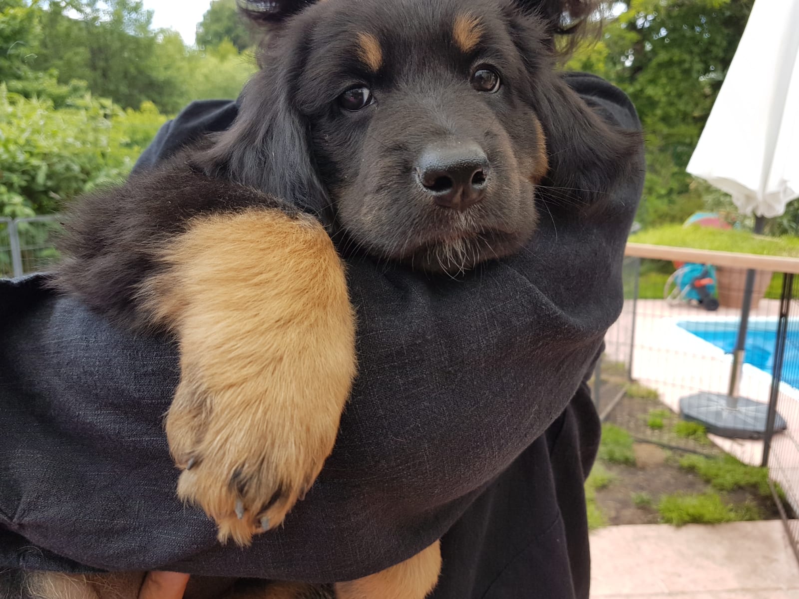 F-Wurf_Fotogalerie_8Woche_800x533_0015