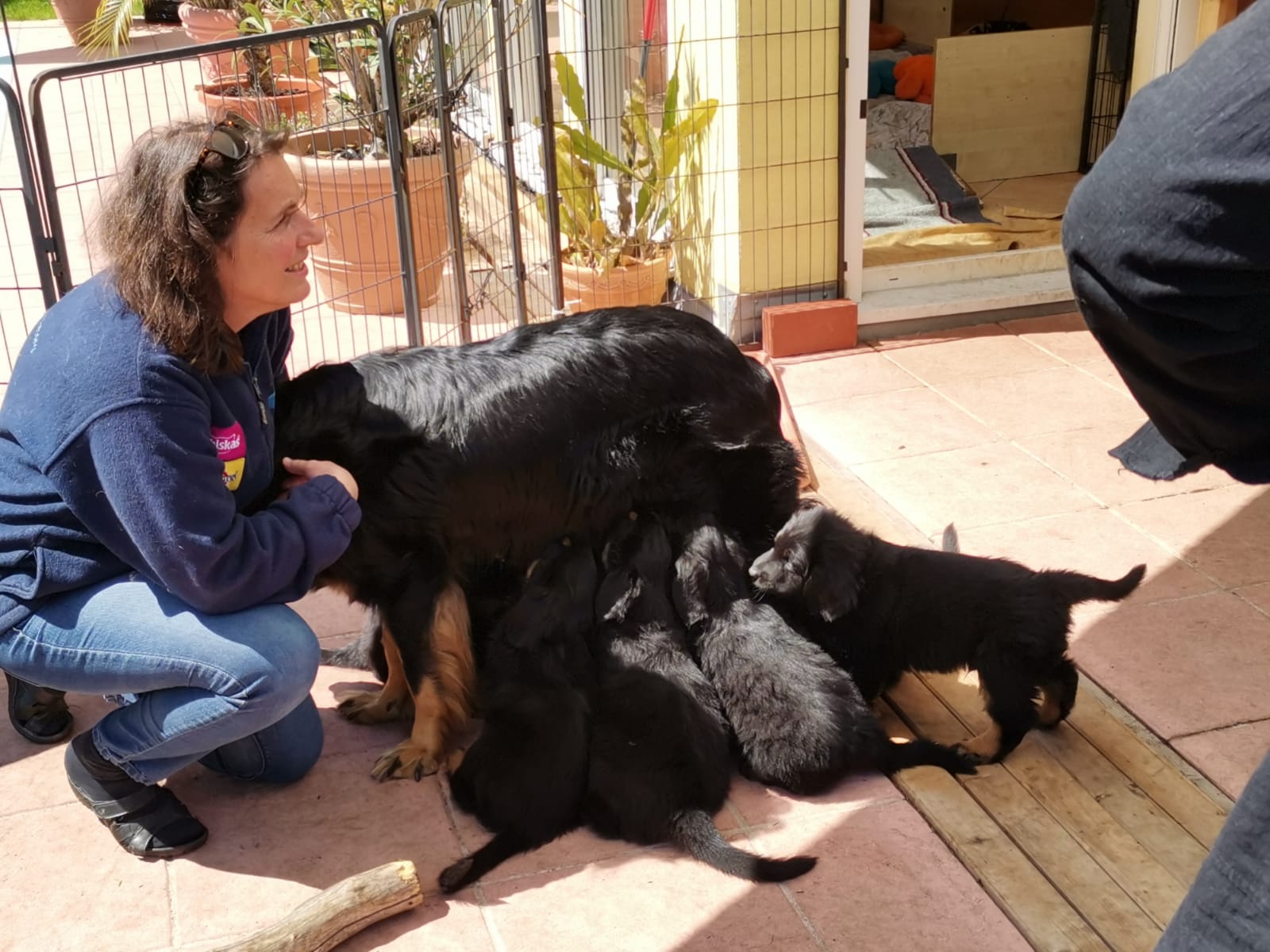 F-Wurf_Fotogalerie_8Woche_800x533_0017