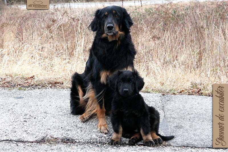 G-Wurf_Fotogalerie_Abschied_Gunnar_800x533_9Woche_20220120