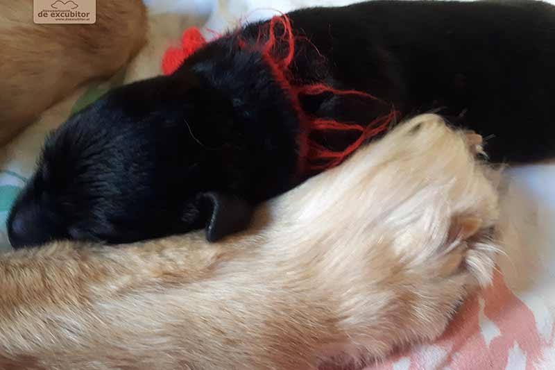 H-Wurf_Fotogalerie_1Woche_800x533_006