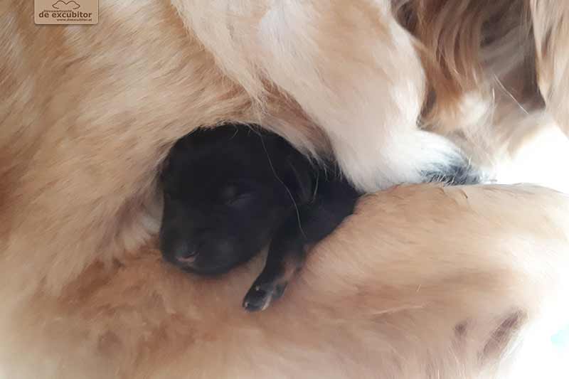 H-Wurf_Fotogalerie_1Woche_800x533_009