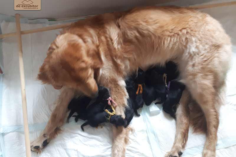 H-Wurf_Fotogalerie_1Woche_800x533_010