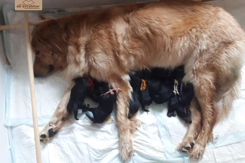 H-Wurf_Fotogalerie_1Woche_800x533_011