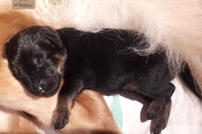 H-Wurf_Fotogalerie_2Woche_800x533_003