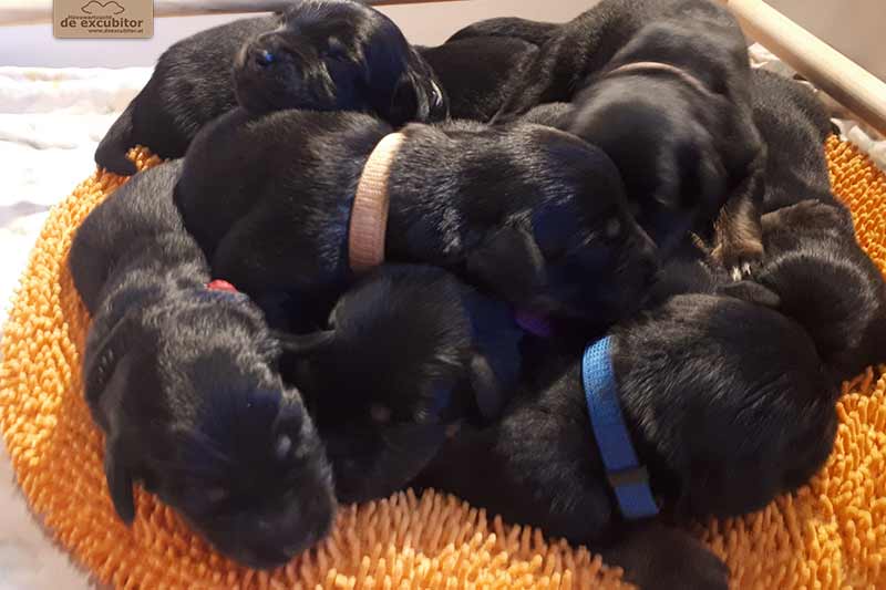 H-Wurf_Fotogalerie_2Woche_800x533_004