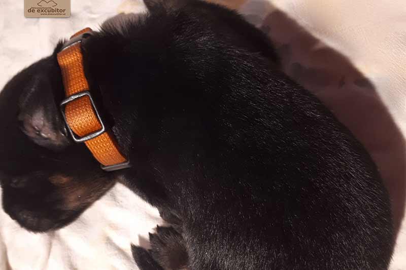 H-Wurf_Fotogalerie_2Woche_800x533_006