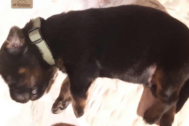 H-Wurf_Fotogalerie_2Woche_800x533_007