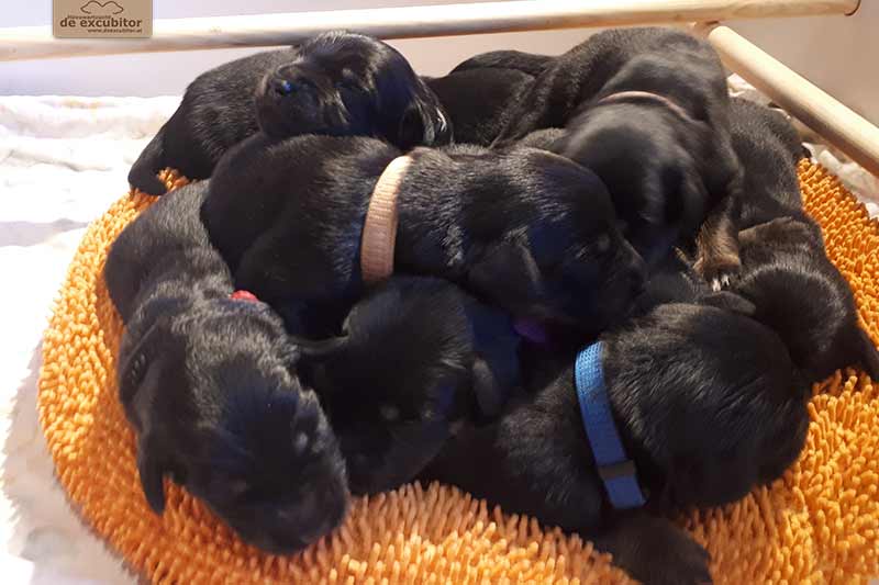 H-Wurf_Fotogalerie_2Woche_800x533_009