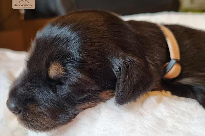 H-Wurf_Fotogalerie_3Woche_800x533_003