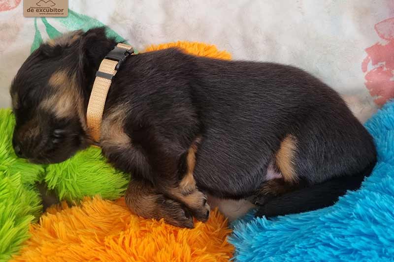 H-Wurf_Fotogalerie_3Woche_800x533_008