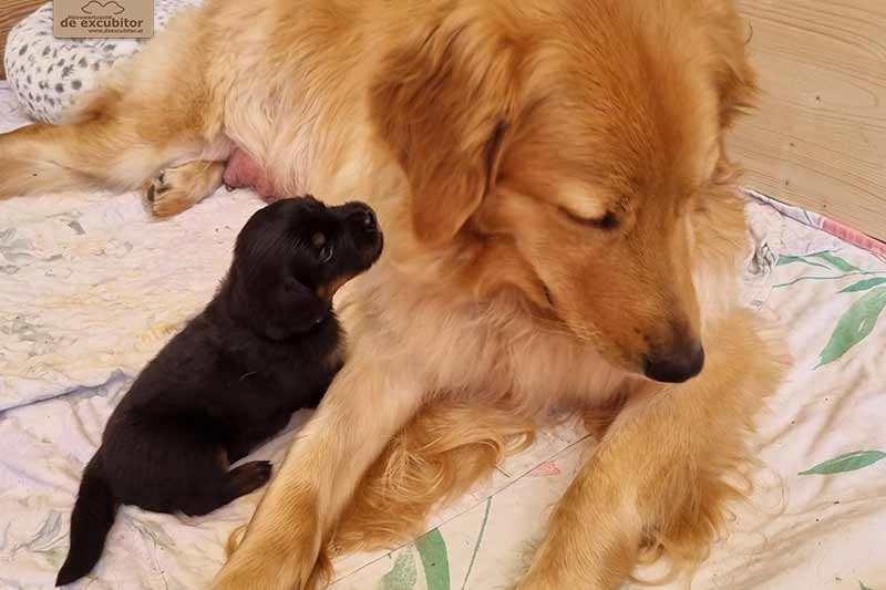 H-Wurf_Fotogalerie_3Woche_800x533_011