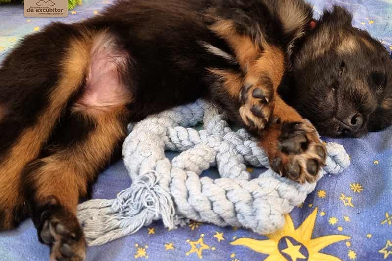 H-Wurf_Fotogalerie_4Woche_800x533_002