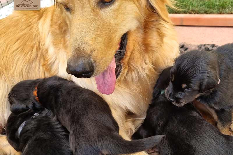 H-Wurf_Fotogalerie_4Woche_800x533_005