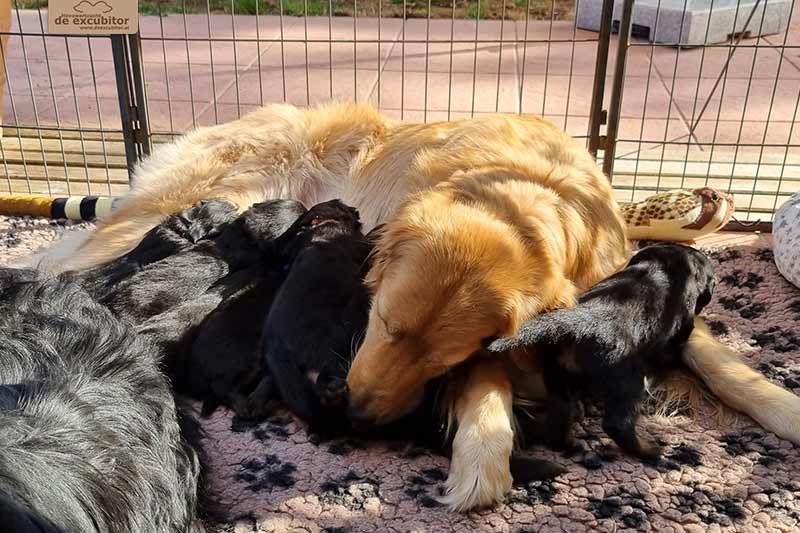 H-Wurf_Fotogalerie_4Woche_800x533_008