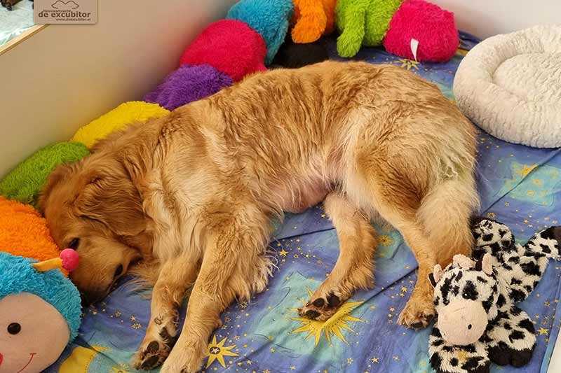 H-Wurf_Fotogalerie_4Woche_800x533_010