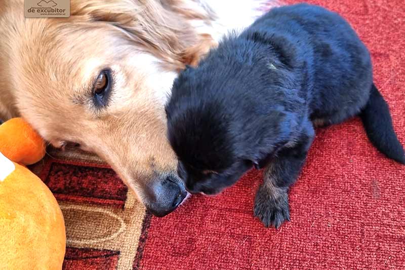 H-Wurf_Fotogalerie_4Woche_800x533_014