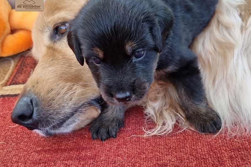 H-Wurf_Fotogalerie_4Woche_800x533_015