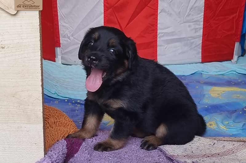 H-Wurf_Fotogalerie_5Woche_800x533_008