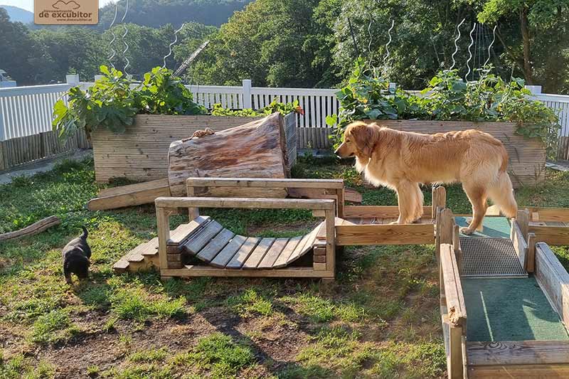 H-Wurf_Fotogalerie_6Woche_800x533_005