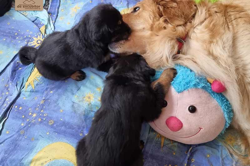 H-Wurf_Fotogalerie_6Woche_800x533_009