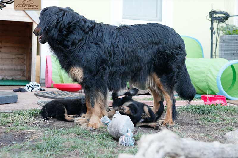 H-Wurf_Fotogalerie_6Woche_800x533_014