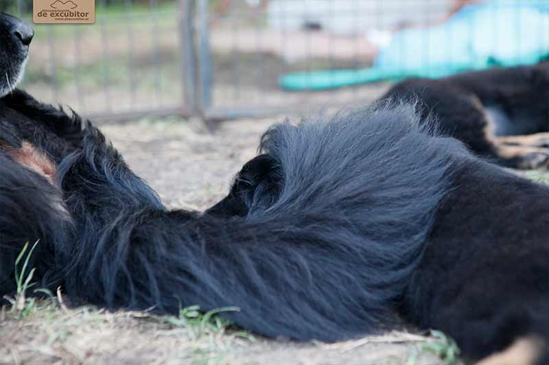 H-Wurf_Fotogalerie_6Woche_800x533_016