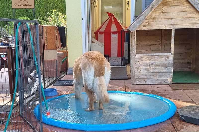 H-Wurf_Fotogalerie_7Woche_800x533_002