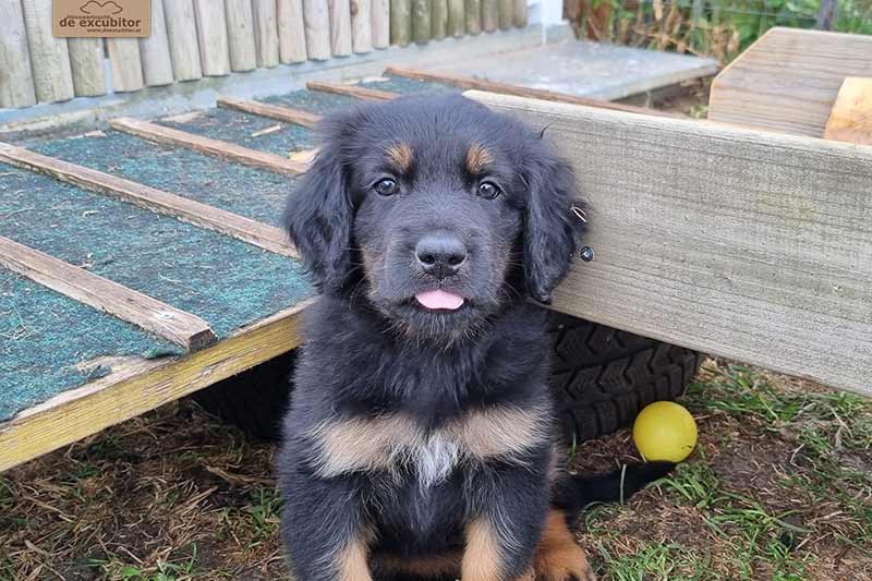 H-Wurf_Fotogalerie_7Woche_800x533_005