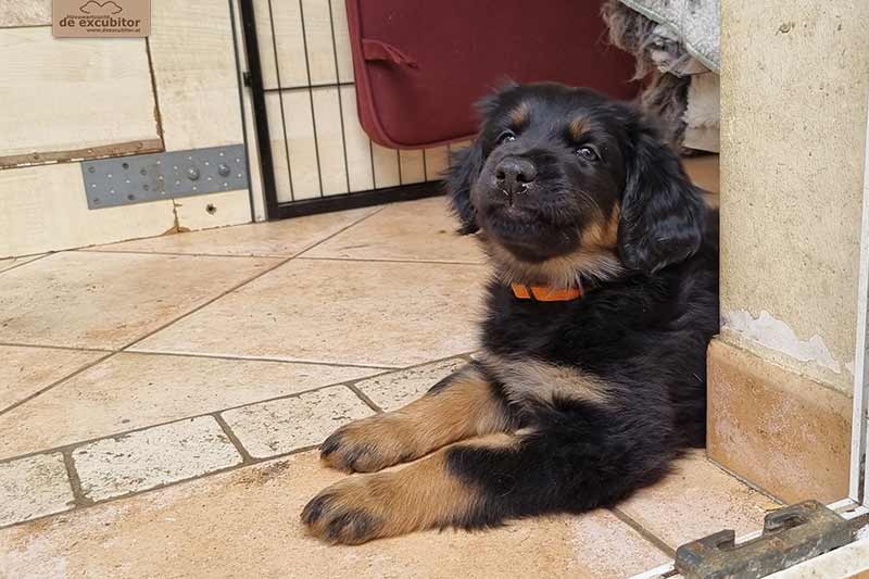 H-Wurf_Fotogalerie_7Woche_800x533_008