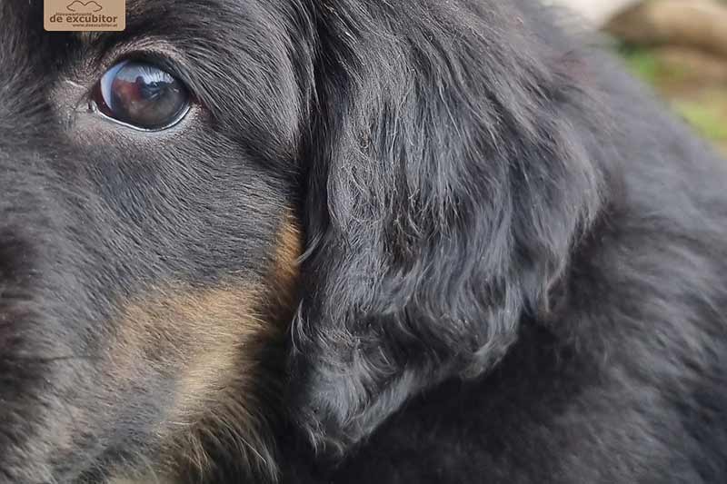 H-Wurf_Fotogalerie_7Woche_800x533_010