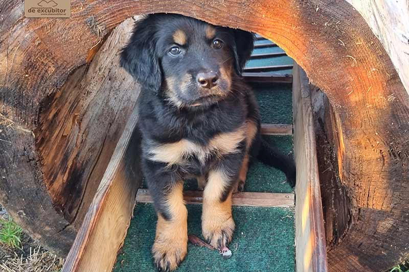 H-Wurf_Fotogalerie_7Woche_800x533_011