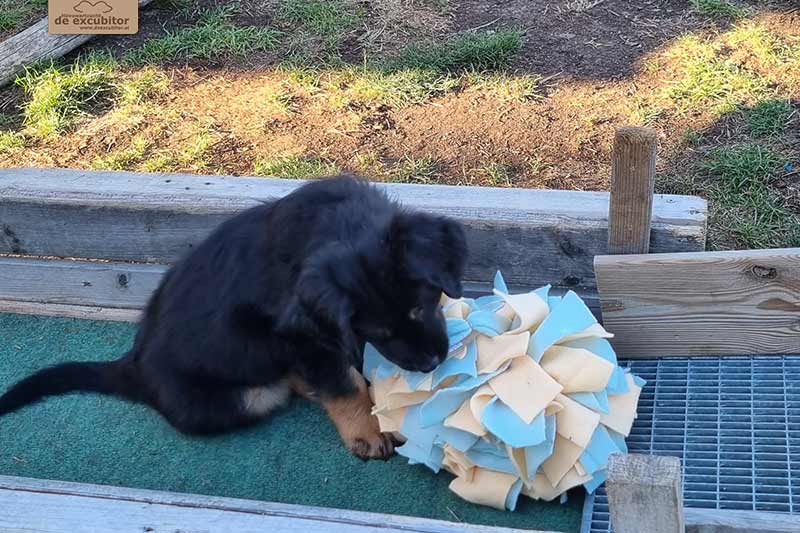 H-Wurf_Fotogalerie_7Woche_800x533_014