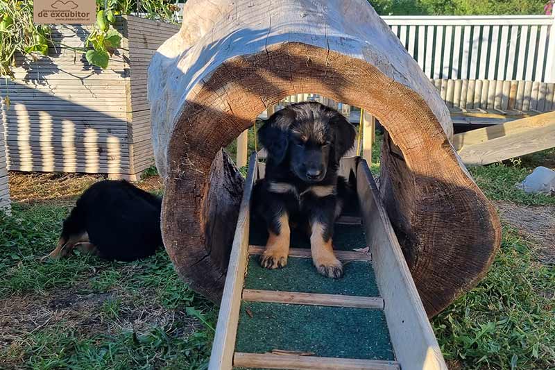 H-Wurf_Fotogalerie_7Woche_800x533_019