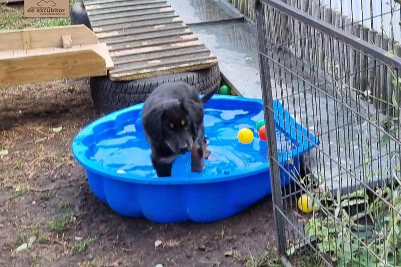 H-Wurf_Fotogalerie_8Woche_800x533_Bild18