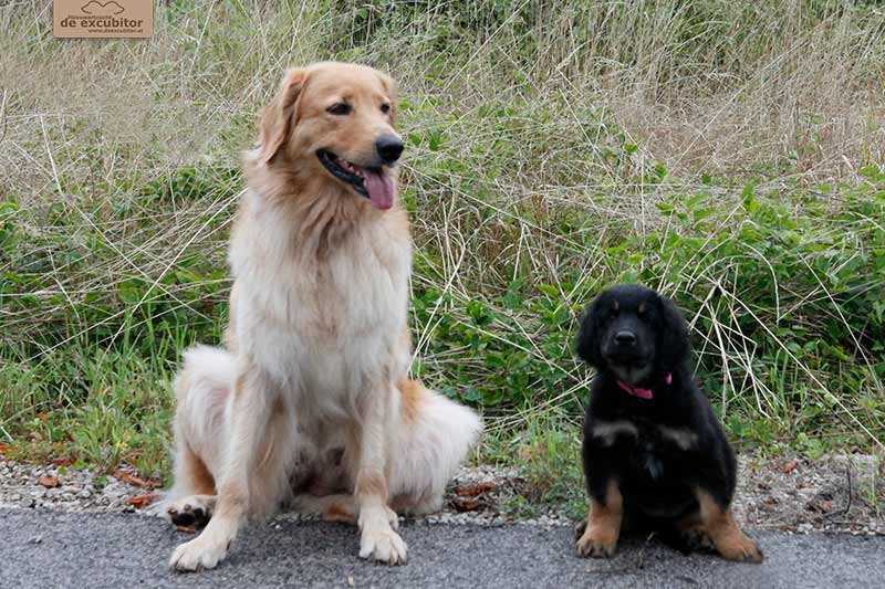 H-Wurf_Fotogalerie_Abschied_Hannah_800x533