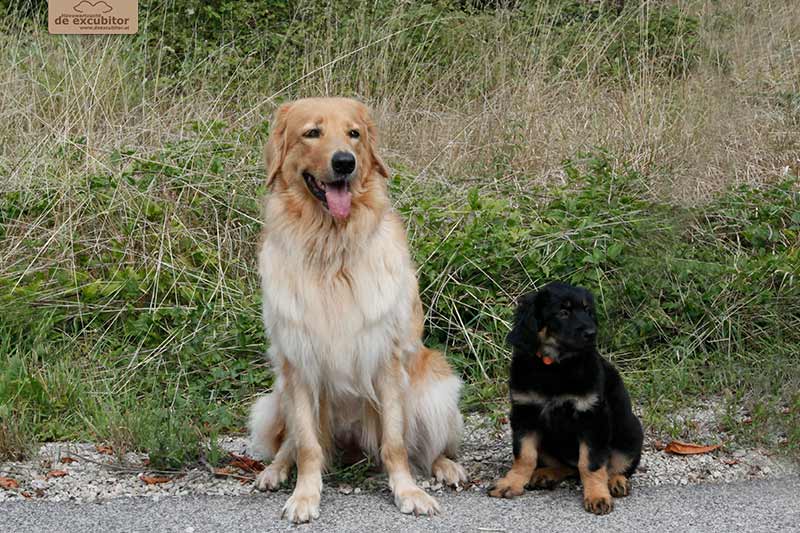 H-Wurf_Fotogalerie_Abschied_Helia_800x533