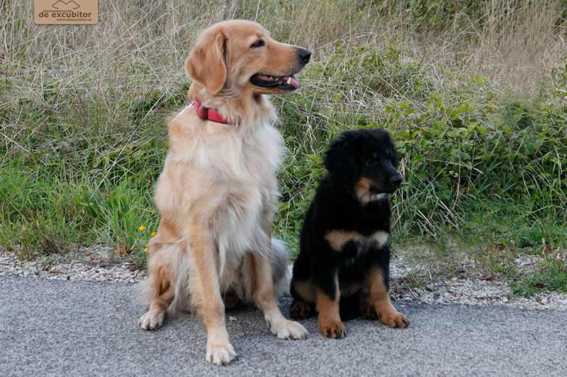 H-Wurf_Fotogalerie_Abschied_Henna_800x533