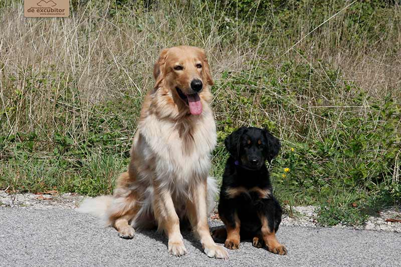 H-Wurf_Fotogalerie_Abschied_Hera_800x533