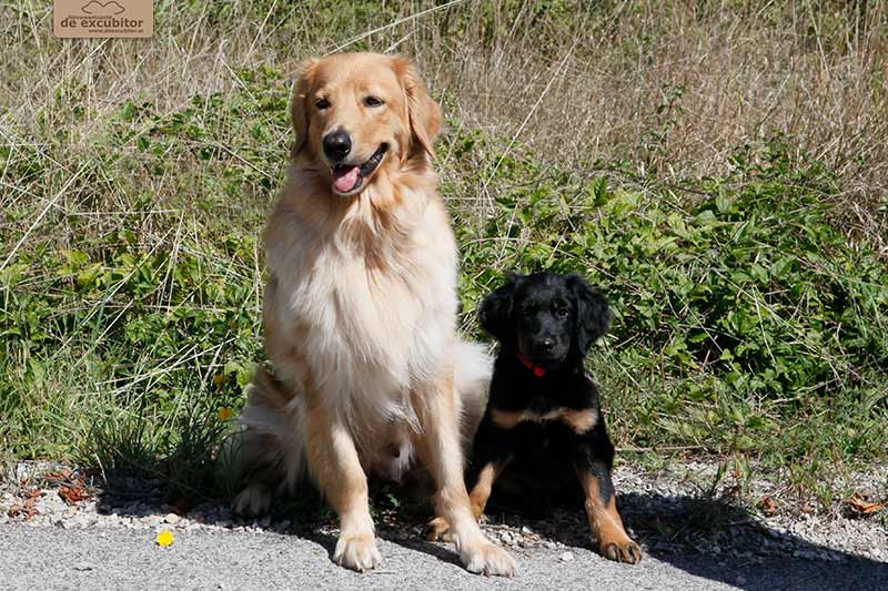 H-Wurf_Fotogalerie_Abschied_Hilka_800x533