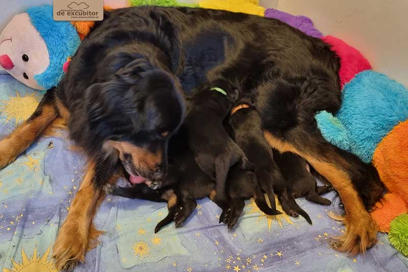 I-Wurf_Woche03_Bild05_800x533