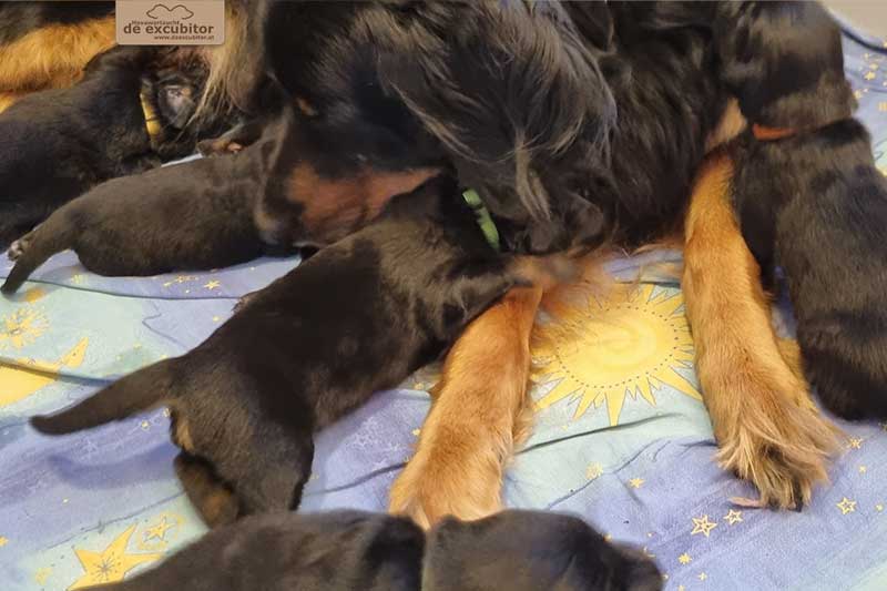 I-Wurf_Woche03_Bild08_800x533