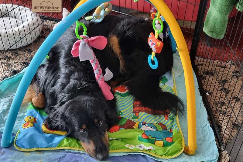 I-Wurf_Woche03_Bild10_800x533